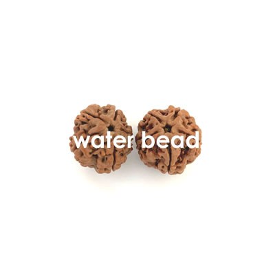 water beads rudraksha 